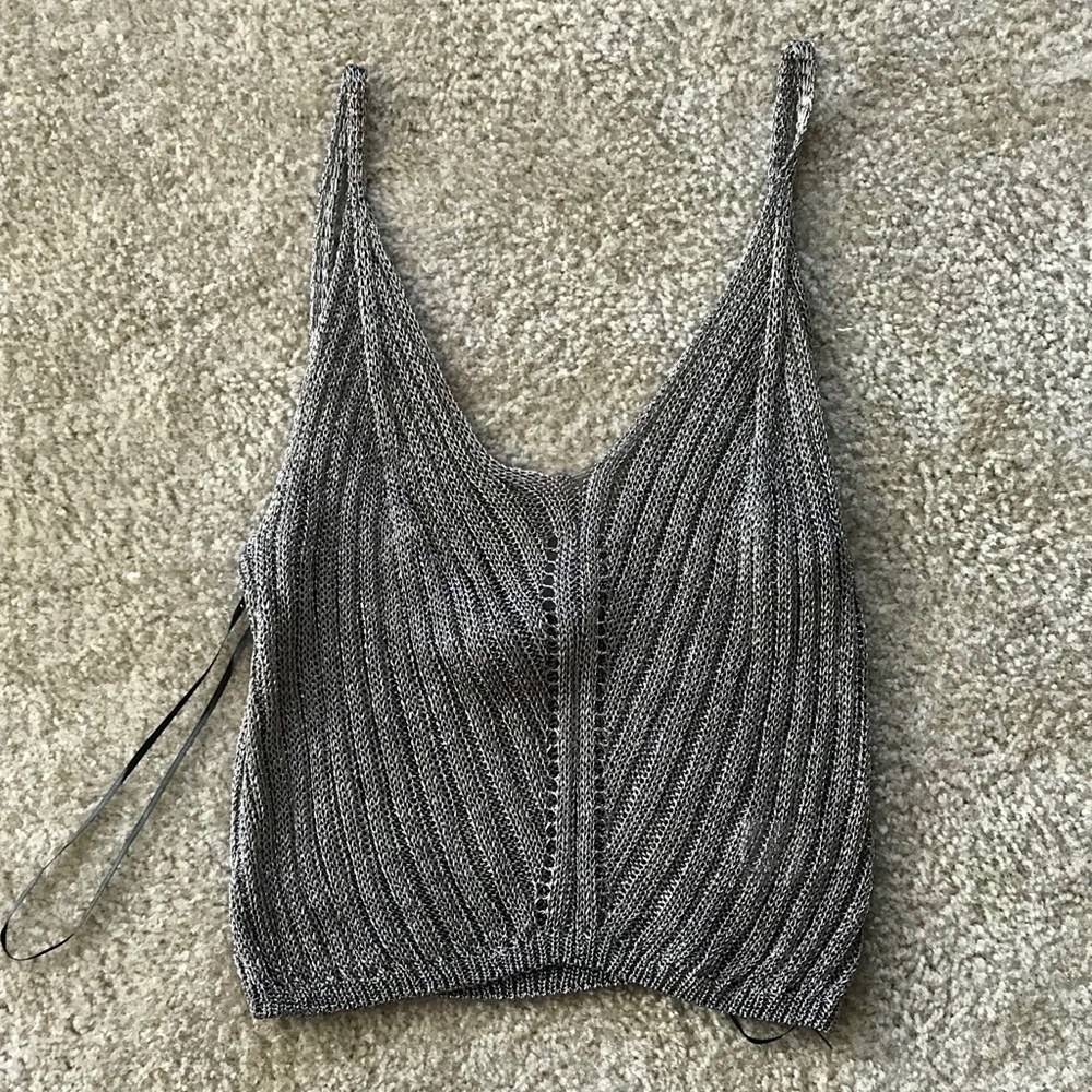 Silver Sheer Crop Top